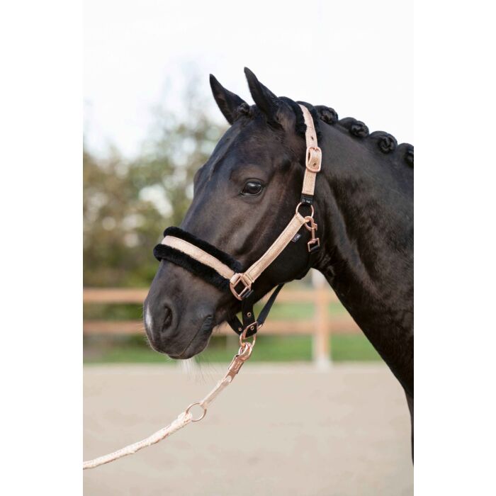 HKM Head Collar - Rosegold Glitter